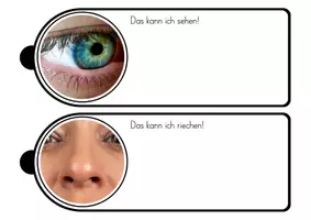 Vorschau - Arbeitsblätter - Unsere 5 Sinne - Fächer und Stationen - Seite 2