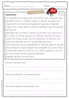 Vorschau - Arbeitsblätter - Sachtext Marienkäfer - Seite 3