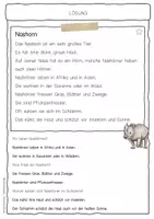 Vorschau - Arbeitsblätter - Sachtext Nashorn - Seite 2