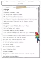 Vorschau - Arbeitsblätter - Sachtext Papagei - Seite 2