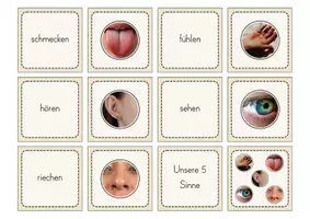 Vorschau - Spiele - Unsere 5 Sinne - Spiele und Legematerial - Seite 2
