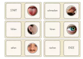 Vorschau - Spiele - Unsere 5 Sinne - Spiele und Legematerial - Seite 3