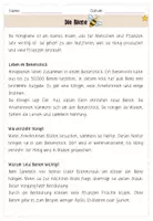 Vorschau - Arbeitsblätter - Sachtexte lesen und verstehen - Seite 3