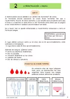 Vista previa - Unidades / Secuencias / Situaciones de Aprendizaje - REPRODUCCIÓN HUMANA PARA 5º Y 6º CASTELLANO Y GALEGO - página 3