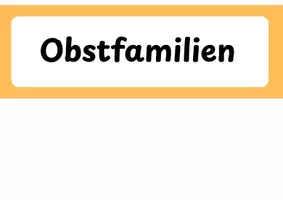 Vorschau - Präsentationen/Tafelbilder - Tafelmaterial Obstfamilien - Seite 3