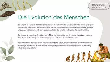 Vorschau - Stundenentwürfe - Materialpaket Evolution - Seite 3