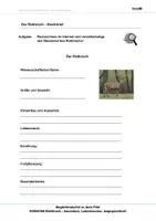 Vorschau - Arbeitsblätter - Rothirsch - Arbeitsblätter mit Lösungen PDF - Seite 2