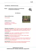 Vorschau - Arbeitsblätter - Rothirsch - Arbeitsblätter mit Lösungen PDF - Seite 3