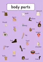 Vorschau - Poster - body parts - Plakat - Seite 2