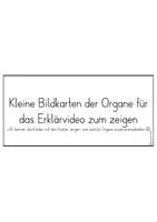 Vorschau - Bildkarten - Wir werden Körper-Experten - Material für Erklärvideos - Seite 2