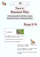 Vorschau - Arbeitsblätter - Materialpaket Rheinland-Pfalz - Seite 1
