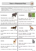 Vorschau - Arbeitsblätter - Tiere in Rheinland-Pfalz Klasse 3 - 5 - Seite 3