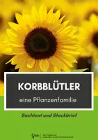 Vorschau - Arbeitsblätter - Korbblütler - Sachtext und Steckbrief - Deckblatt