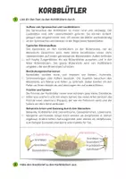 Vorschau - Arbeitsblätter - Korbblütler - Sachtext und Steckbrief - Seite 1