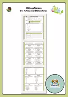 Vorschau - Arbeitsblätter - Aufbau einer Blütenpflanze - Deckblatt