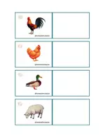 Vista previa - Refuerzo / NEE / Materiales de apoyo - DISCRIMINACIÓN VISUAL ANIMALES - página 1