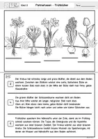 Vorschau - Arbeitsblätter - Partnerlesen, Lesen und Malen – Klasse 3, Klasse 4, DaZ-Lesematerial - Seite 3