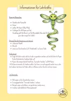 Vorschau - Mal- und Bastelvorlagen - Insekten im Frühling basteln - 4 fertige Kunstprojekte - Kunst Klasse 1, 2 und 3 - Seite 2