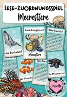 Vorschau - Spiele - Meerestiere - Lese-Zuordnungsspiel | Lesen & Verstehen Klasse 3–4 - Deckblatt