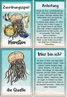 Vorschau - Spiele - Meerestiere - Lese-Zuordnungsspiel | Lesen & Verstehen Klasse 3–4 - Seite 2