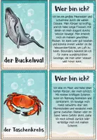 Vorschau - Spiele - Meerestiere - Lese-Zuordnungsspiel | Lesen & Verstehen Klasse 3–4 - Seite 3