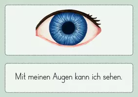 Vorschau - Arbeitsblätter - Unsere 5 Sinne - Materialpaket - Seite 1