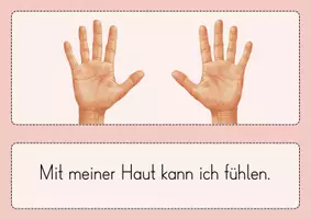 Vorschau - Arbeitsblätter - Unsere 5 Sinne - Materialpaket - Seite 2