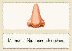 Vorschau - Arbeitsblätter - Unsere 5 Sinne - Materialpaket - Seite 3
