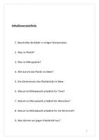 Vorschau - Arbeitsblätter - Portfolio - Plastikmüll im Meer- Ursachen, Folgen, Vermeiden HOMESCHOOLING + Worddatei - Seite 2