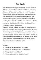 Vorschau - Stundenentwürfe - Der Wald. Sachtexte mit Fragen & Quiz. Leseverständnis Grundschule Klasse 3-4 - Deckblatt