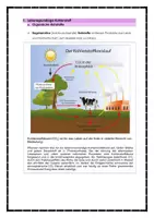 Vorschau - Lehrpläne/Lehrermaterial - Quali- Vorbereitung Natur und Technik - Seite 3