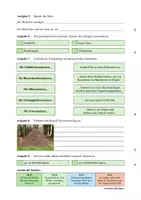 Vorschau - Arbeitsblätter - Übung zum Hörverstehen: Geolino-Podcast "Das Superinsekt: Ameisen" - Seite 2