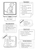 Vorschau - Arbeitsblätter - Steckbrief Tiere Grundschule - Seite 3