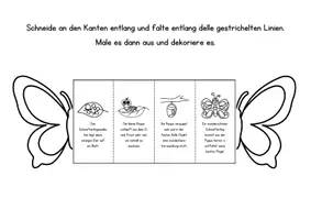 Vorschau - Mal- und Bastelvorlagen - Lebenszyklus des Schmetterlings - Broschüre - Seite 3