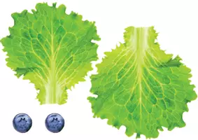 Vista previa - Juegos / Gamificación - FRUTAS:VERDURAS - página 2