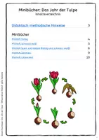 Vorschau - Mal- und Bastelvorlagen - Das Jahr der Tulpe - Tulpenjahr - Minibuch Frühblüher - Seite 1