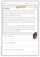 Vorschau - Arbeitsblätter - Sachtext Schimpanse - Seite 3