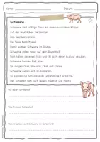 Vorschau - Arbeitsblätter - Sachtext Schwein - Seite 1