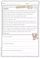 Vorschau - Arbeitsblätter - Sachtext Schwein - Seite 3