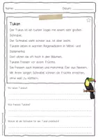 Vorschau - Arbeitsblätter - Sachtext Tukan - Seite 1