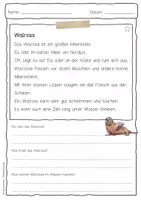 Vorschau - Arbeitsblätter - Sachtext Walross - Seite 1