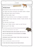Vorschau - Arbeitsblätter - Sachtext Wildschweine - Seite 2