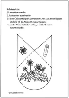 Vorschau - Mal- und Bastelvorlagen - Frühblüher Ecklesezeichen Buschwindröschen zum Ausmalen und Basteln - Seite 2
