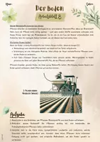 Vorschau - Arbeitsblätter - Der Boden: Pflanzen brauchen Böden, Nährstoffe (5. & 6. Klasse, Biologie, Nawi, Weltkunde, Erdkunde) - Seite 2