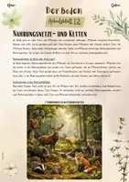 Vorschau - Arbeitsblätter - Der Boden: Nahrungsketten und Nahrungsnetze im Wald | Ökologie (5. & 6. Klasse, Biologie, Nawi, Weltkunde, Erdkunde) - Seite 1