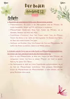 Vorschau - Arbeitsblätter - Der Boden: Nahrungsketten und Nahrungsnetze im Wald | Ökologie (5. & 6. Klasse, Biologie, Nawi, Weltkunde, Erdkunde) - Seite 3