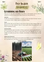 Vorschau - Arbeitsblätter - Der Boden: Gefährdung der Böden (5. & 6. Klasse, Biologie, Nawi, Weltkunde, Erdkunde) - Seite 1