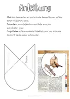 Vorschau - Mal- und Bastelvorlagen - Lesezeichenecke Zaunkönig Heimische Vögel - Seite 2