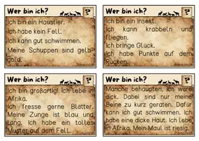 Vorschau - Spiele - Lesen: Tierrätsel-Karten für Leseanfänger - Seite 2