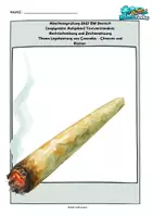 Vorschau - Arbeitsblätter - Legalisierung von Cannabis – Textverständnis & Rechtschreibung Abschlussprüfung Deutsch 2027 RS BW - Deckblatt